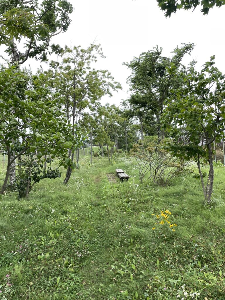 鳥取1号・昭和南公園