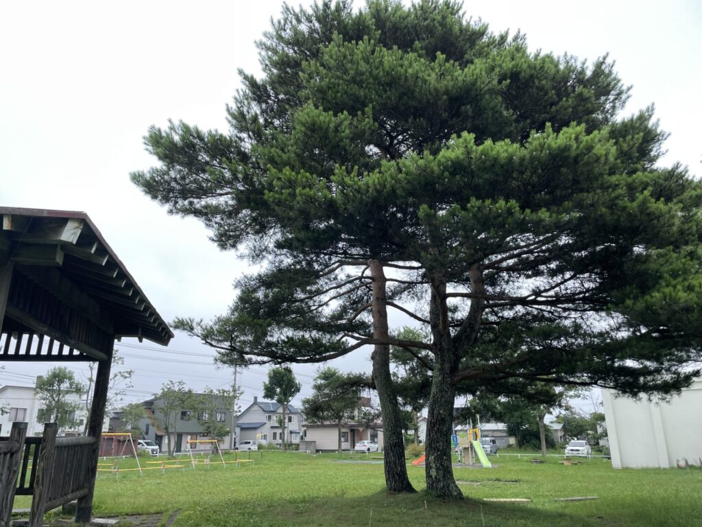 鳥取1号・昭和南公園屋根付き休憩所