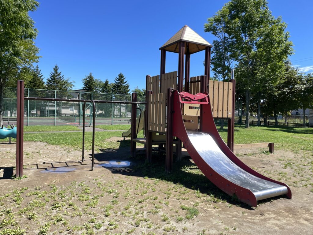 愛国西3号公園メイン遊具