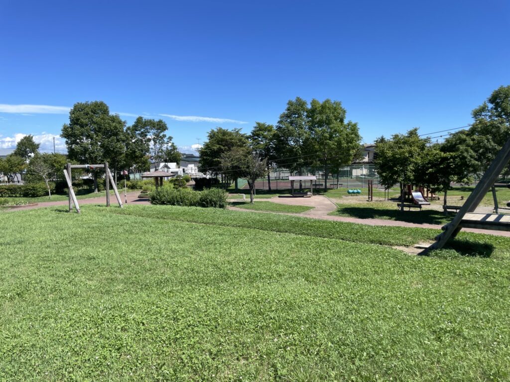 愛国西3号公園ターザンロープ