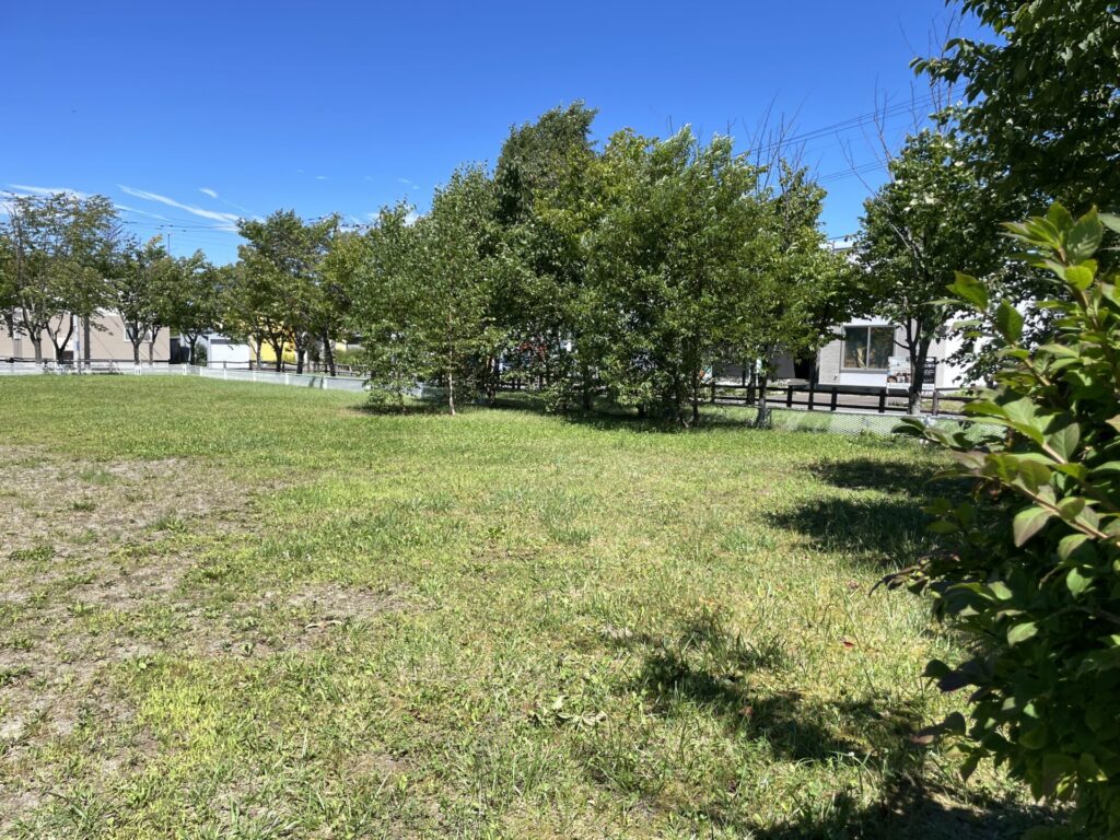 愛国西3号公園広場