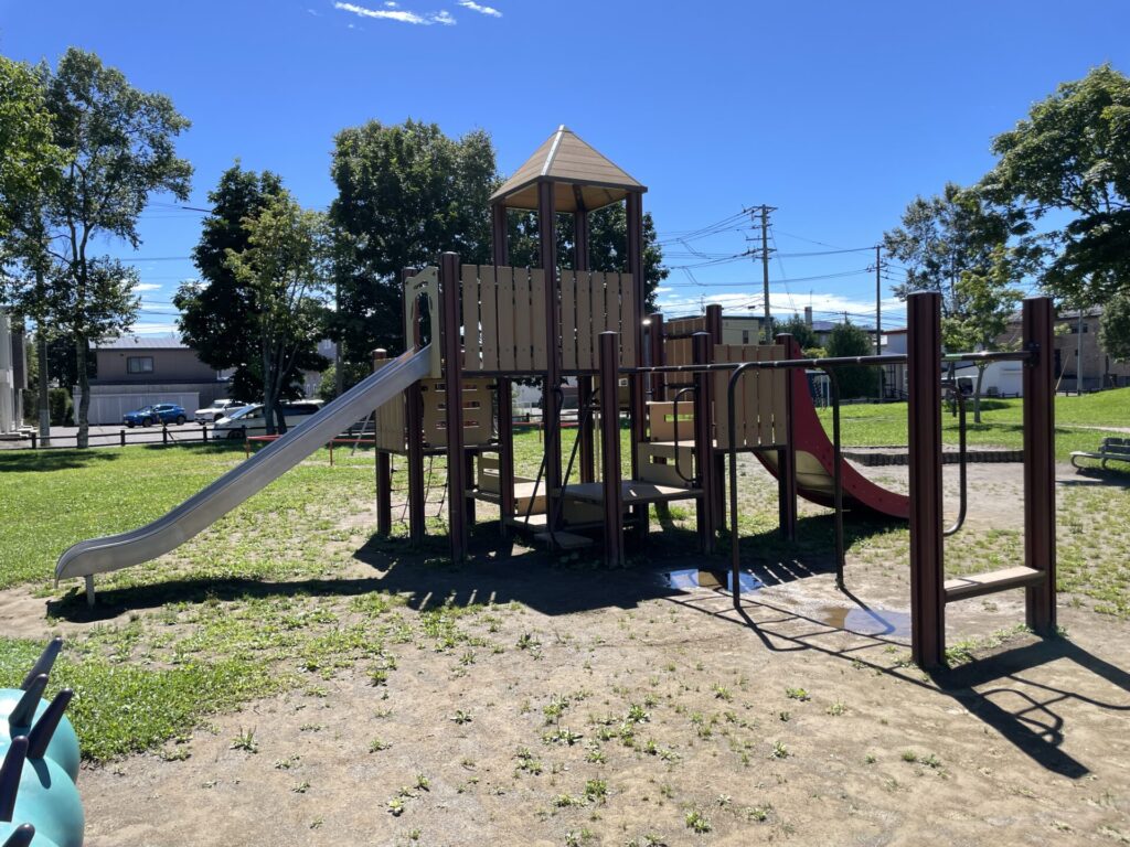 愛国西3号公園メイン遊具