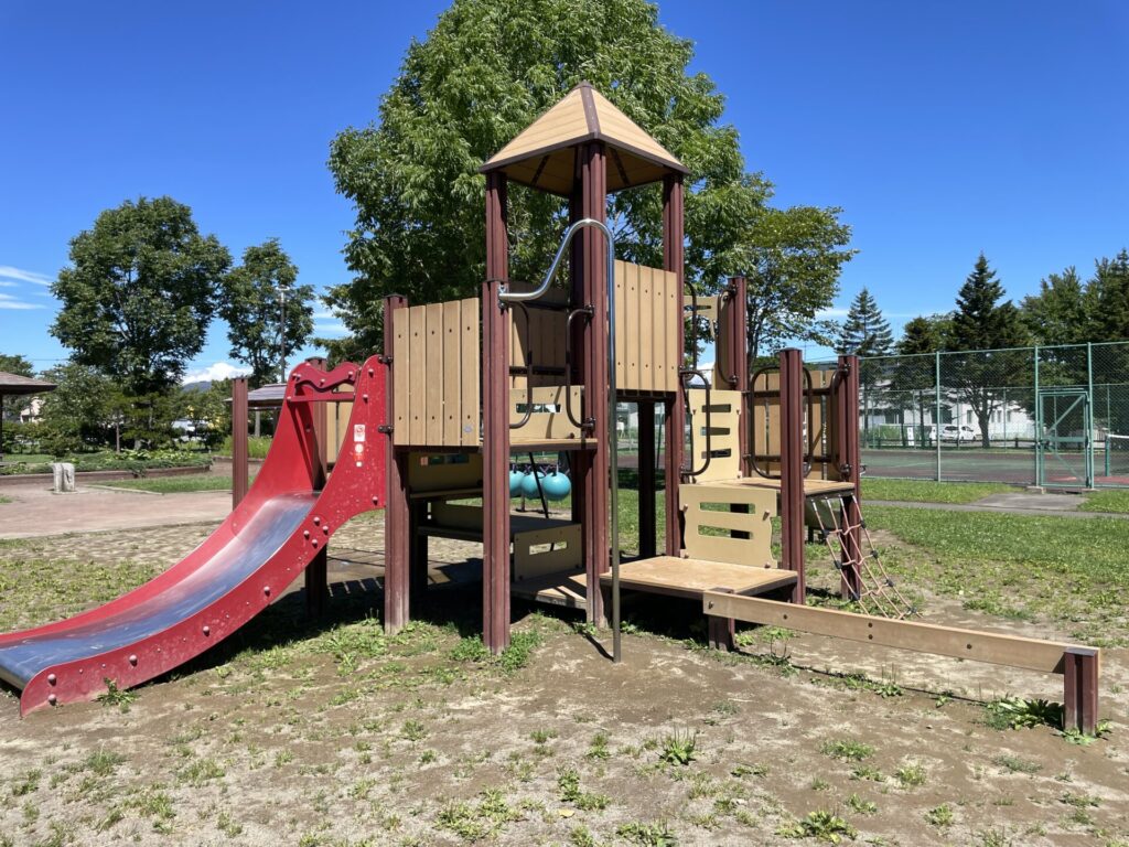 愛国西3号公園メイン遊具