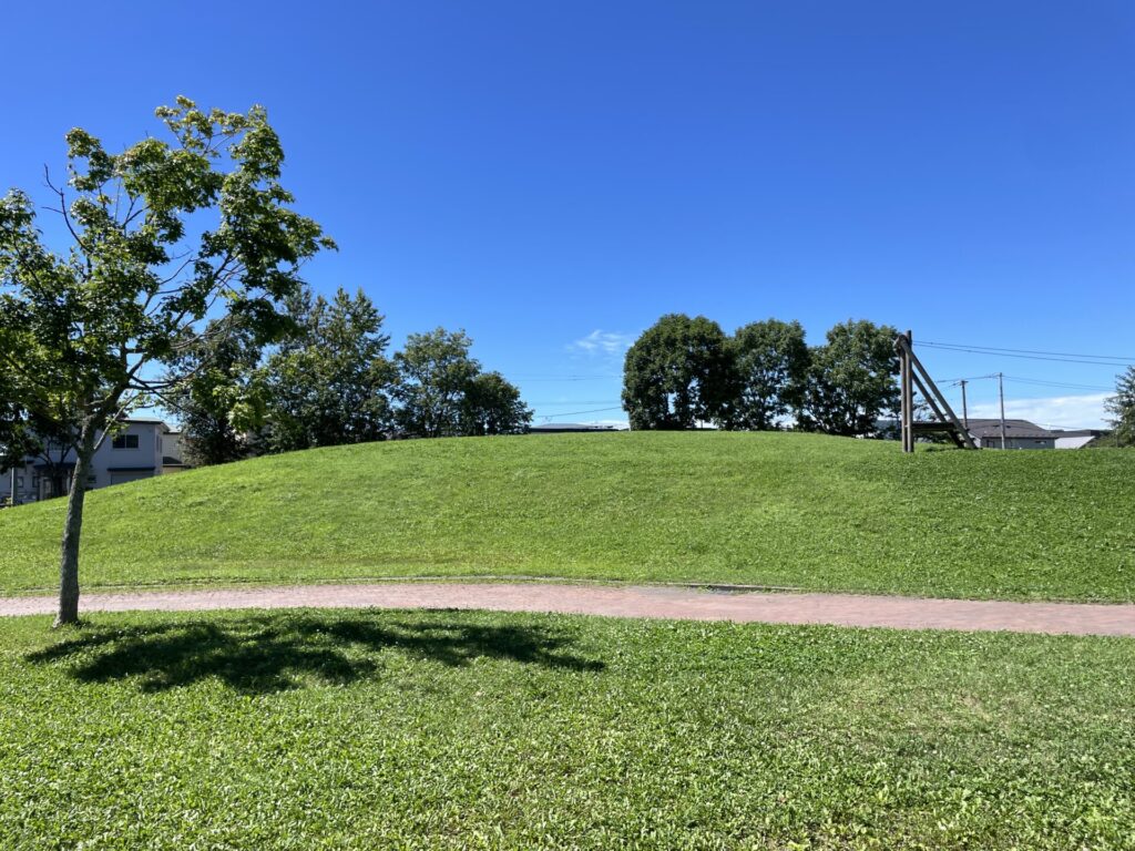 愛国西3号公園丘