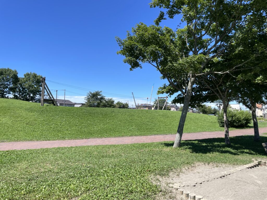 愛国西3号公園丘