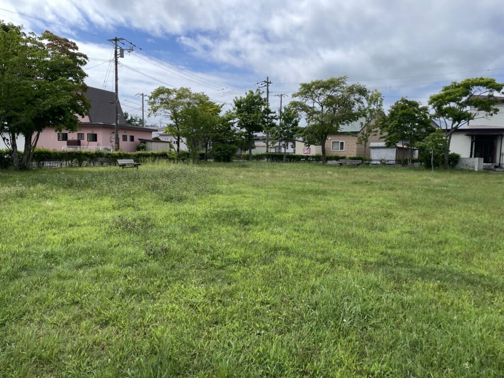 もみじ公園広場