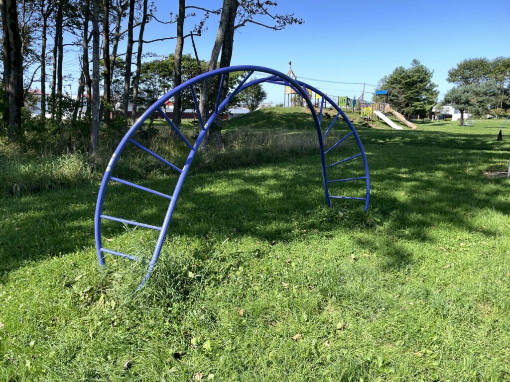 柳町公園ヒネリン