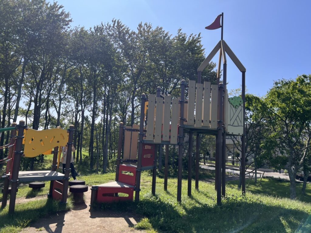 柳町公園メイン遊具