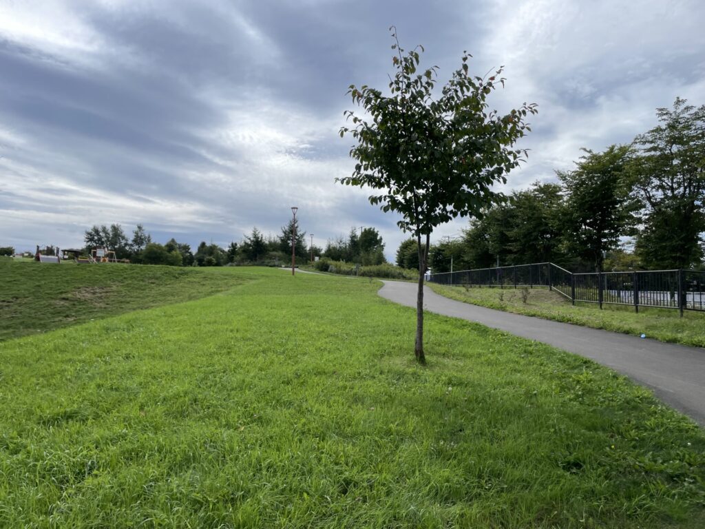 緑ヶ丘公園坂道